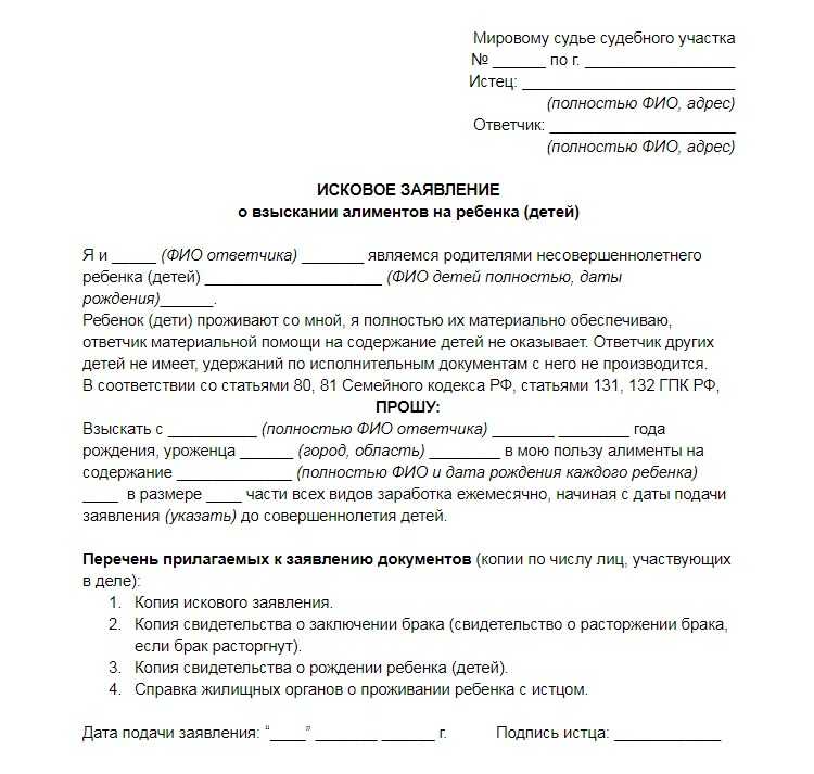 Как подать в суд на алименты в России: пошаговое руководство