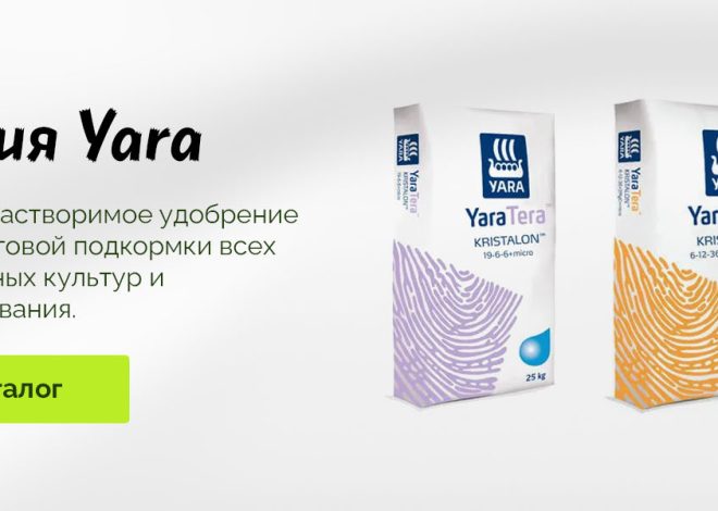 Как выбрать идеальные товары для питомников и садовых центров?